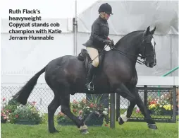  ??  ?? Ruth Flack’s heavyweigh­t Copycat stands cob champion with Katie Jerram-Hunnable