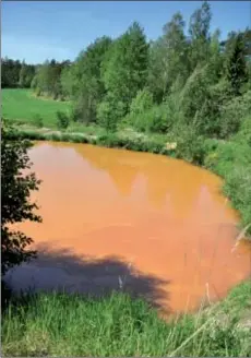  ?? Foto: Monica Sandberg ?? Bytte färg. Dammen vid reningsver­ket var i går rödaktig, och färgen spred sig till bäcken som rinner förbi, på väg ner till Lammalavik­en.