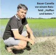  ?? ?? Bauer Canella vor einem Reisfeld: „Hoffen
und beten.“