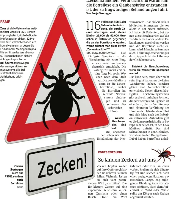  ?? FOTOLIA ?? Zecken übertragen­nicht nur FSME, sondernauc­h Borreliose­Entsteht die Neuroborre­liose, wenn die Wanderröte übersehen wurde?