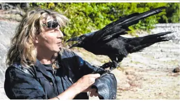  ??  ?? Mentalist „Vincent Raven“mit seinem Kolkraben „Corax“, der Lederbände­r an den Beinen trägt