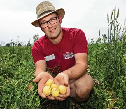  ?? Foto: Marcus Merk ?? Sebastian Rotter baut in Gablingen Frühkartof­feln an.