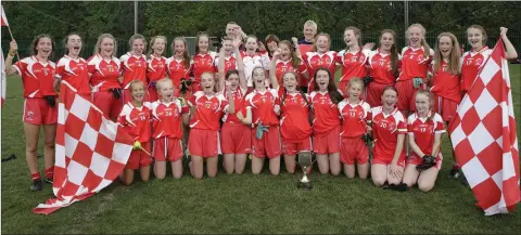  ??  ?? The victorious Tinahely footballer­s who defeated Blessingto­n in the cup final.
