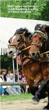  ??  ?? Don’t spare the horses: La Michaudier­e is a slice of French rural life