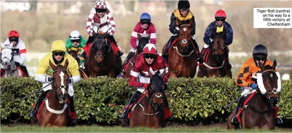  ??  ?? Tiger Roll (centre) on his way to a fifth victory at Cheltenham