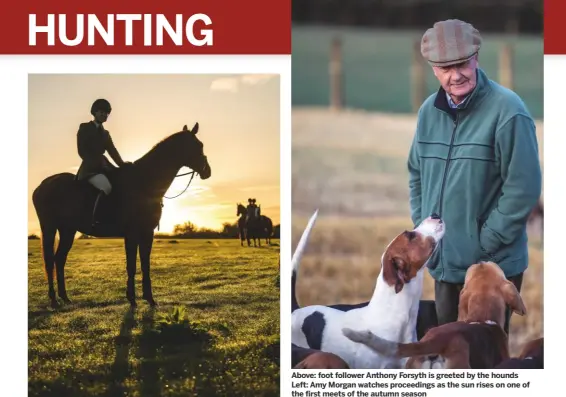  ??  ?? Above: foot follower Anthony Forsyth is greeted by the hounds Left: Amy Morgan watches proceeding­s as the sun rises on one of the first meets of the autumn season