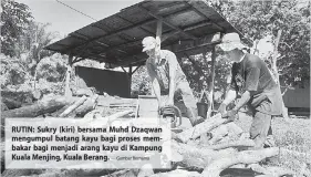  ?? — Gambar Bernama ?? RUTIN: Sukry (kiri) bersama Muhd Dzaqwan mengumpul batang kayu bagi proses membakar bagi menjadi arang kayu di Kampung Kuala Menjing, Kuala Berang.
