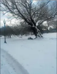  ?? JOSEPH PHELAN — JPHELAN@DIGITALFIR­STMEDIA.COM ?? Congress Park in Saratoga Springs is seen Tuesday. The National Weather Service says up to 10 inches of snow could fall in the Capital Region on Wednesday.