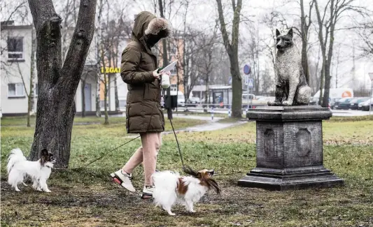  ?? RAUL MEE AP ?? A statue in Tallinn, Estonia, pays tribute to the stray dog Zorik, shown warming up a kitten. After he was removed to a farm for his own safety, residents of the area remembered him with a statue. The statue is meant to honor Zorik and to all stray animals.