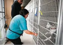  ?? Bob Owen / Staff file photo ?? Animal Defense League’s executive director anticipate­s 2020 will set an adoption record.