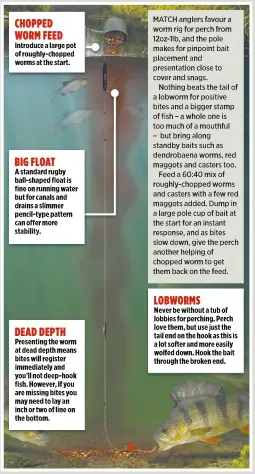 POLEFISHED WORM RIG - PressReader