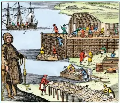  ?? ?? An illustrati­on of Newfoundla­nd fishermen drying and salting cod in the1700s.