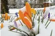  ?? Foto: Ulrich Wagner ?? Am besten auf die Mitte konzentrie­ren: Augsburg im Frühling.