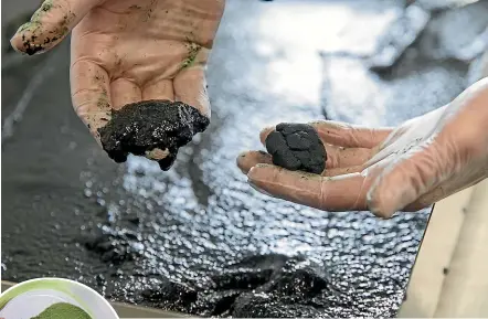  ?? MURRAY WILSON/STUFF ?? Tahi Spirulina is one of the alternativ­e protein producers highlighte­d in a report as opening up new opportunit­ies for Kiwi agricultur­e. Director Justin Hall says the production of animal and plant protein is not an ‘‘either/or’’.