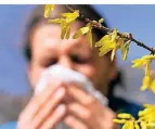  ?? FOTO: DPA ?? Wenn Pflanzen im Frühjahr blühen, beginnt für Allergiker eine nervige Zeit.