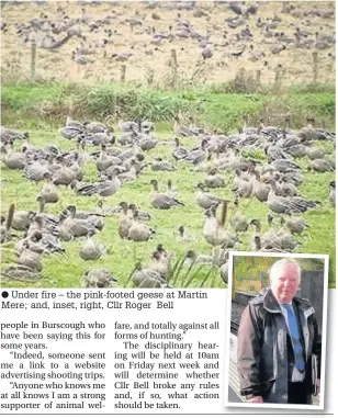  ?? Under fire – the pink-footed geese at Martin Mere; and, inset, right, Cllr Roger Bell ??