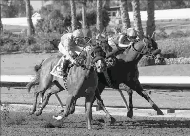  ?? BENOIT & ASSOCIATES ?? McKinzie (right), who was promoted to first in the Los Alamitos CashCall Futurity following an eventful stretch run, will go without blinkers in Saturday’s Sham Stakes.