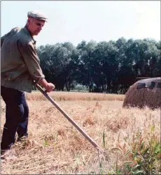  ?? The Associated Press ?? A private Ukrainian farmer, Dmytro Hnatkevitc­h, harvests his wheat crop on his farm in the village of Grygorovka, 110 km south of Kiev. Prices for food commoditie­s like grains and vegetable oils reached their highest levels ever because of Russia’s war in Ukraine and the massive supply disruption­s it is causing.