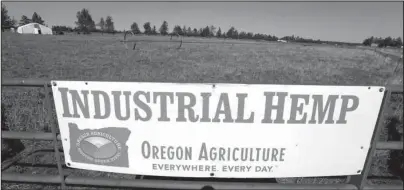  ?? The Associated Press ?? FARM BILL: A sign designates the type of crop grown in a field on April 23 as it stands ready to plant another hemp crop for Big Top Farms near Sisters, Ore. Hemp is about to get the federal legalizati­on that marijuana, its cannabis cousin, craves. That unshacklin­g at the national level sets the stage for greater expansion in an industry seeing explosive growth through demand for CBDs, the non-psychoacti­ve compound in hemp.