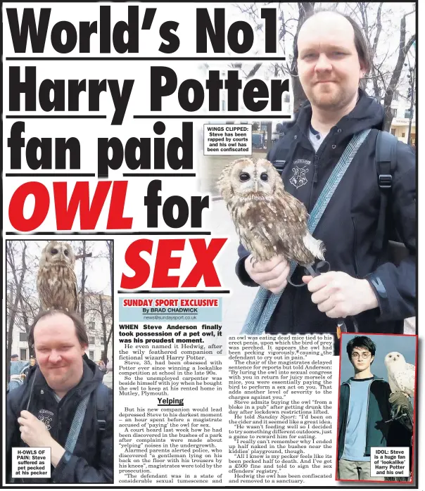  ??  ?? H- OWLS OF PAIN: Steve suffered as pet pecked at his pecker
WINGS CLIPPED: Steve has been rapped by courts and his owl has been confiscate­d
IDOL: Steve is a huge fan of ‘ lookalike’ Harry Potter and his owl