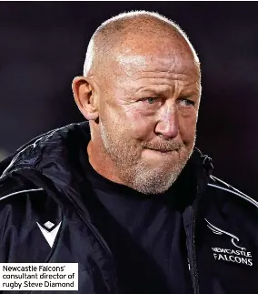 Diamond has ‘absolute belief’ in Falcons’ form - PressReader