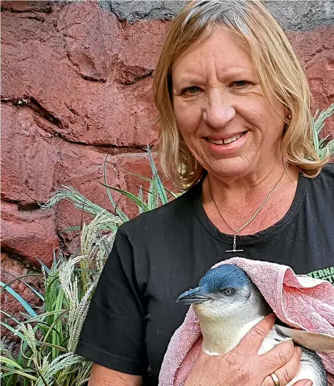 ??  ?? Internatio­nal Antarctic Centre penguin keeper Sue Best has shared her lockdown with rescued penguin Toa, who was also in quarantine.