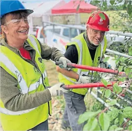  ?? ?? Get involved in projects such as vegetation clearance.