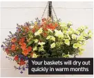  ?? ?? Your baskets will dry out quickly in warm months