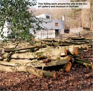  ?? ?? Tree felling work around the site of the DLI art gallery and museum in Durham