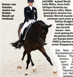  ??  ?? Dressur vom Feinsten: Jessica von BredowWern­dl auf Ferdinand.