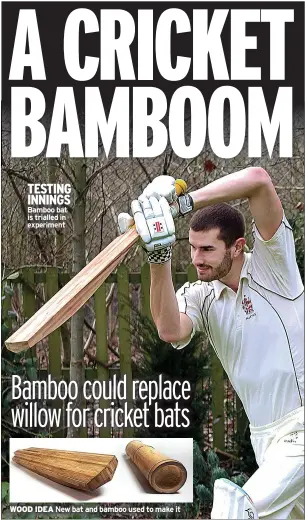  ??  ?? TESTING INNINGS Bamboo bat is trialled in experiment
WOOD IDEA New bat and bamboo used to make it