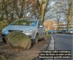  ??  ?? Die Findlinge sollen verhindern, dass die Autos zu nahe an die Baumwurzel­n gestellt werden.