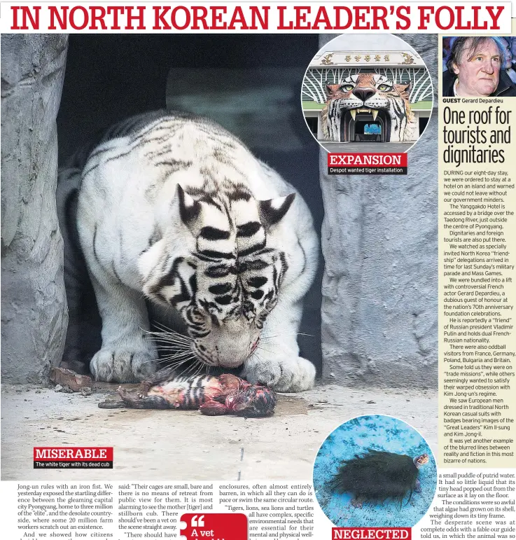  ??  ?? The white tiger with its dead cub Despot wanted tiger installati­on Algae blankets red-eared turtle GUEST Gerard Depardieu