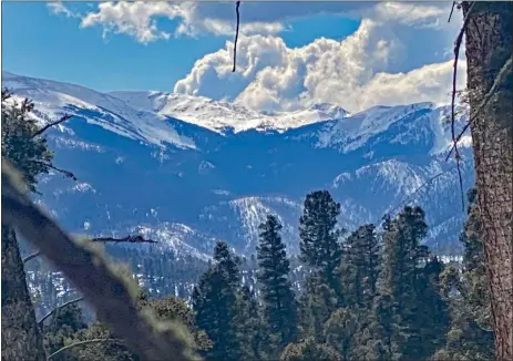  ?? CINDY BROWN/For the Taos News ?? Several points along the trails at Enchanted Forest open to views of the Sangre de Cristos, now more visible in certain areas due to tree fall caused by the December 2021 windstorm.