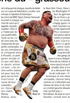  ??  ?? Andy Ruiz Jr.