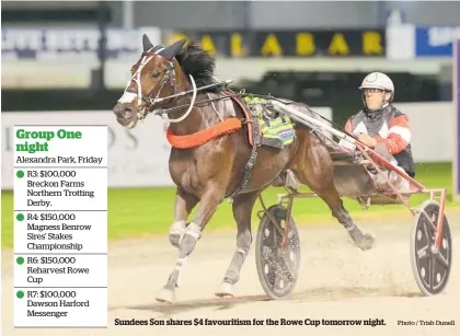  ?? Photo / Trish Dunell ?? Sundees Son shares $4 favouritis­m for the Rowe Cup tomorrow night.