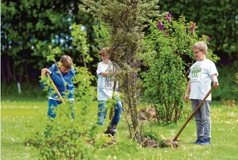  ?? Foto: Marcus Merk ?? Kinder können die Welt verändern. Davon ist Felix Finkbeiner, 19 jähriger Gründer der Naturschut­zorganisat­ion „Plant for the Planet“überzeugt. 14 Milliarden Bäume auf der ganzen Welt haben Kinder dafür bereits gepflanzt, am Samstag sind auch einige in...