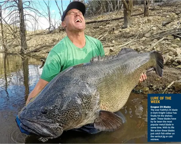  ?? Photo: Contribute­d ?? BIG BEAST: Curtis Parker hauled in this massive 24cm giant murray cod. The lucky angler asked for the location of his catch to be kept a secret.
