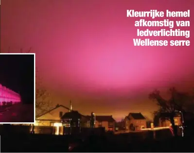  ?? FOTO GEOFFREY VANEIJCK ?? De lucht boven grote delen van Zuid-Limburg kleurde gisteravon­d opvallend paars, een gevolg van de gereflecte­erde ledverlich­ting in de serres (foto inzet) van een Wellense aardbeient­eler.