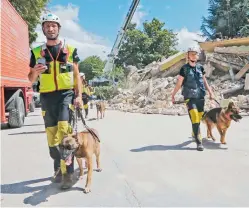  ??  ?? Διασώστες με ειδικά εκπαιδευμέ­νους σκύλους στις σεισμόπληκ­τες κοινότητες της Κ. Ιταλίας.