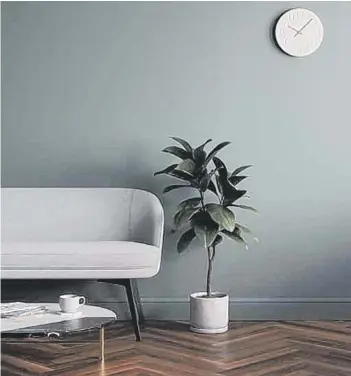  ??  ?? Bring the colours of the outdoors inside by painting a wall dark green