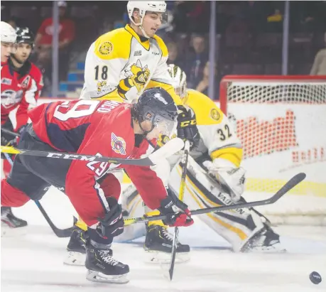  ?? DAX MELMER ?? Daniel D’amico and the Spitfires concluded exhibition season Sunday with a 9-4 win against Sarnia at the WFCU Centre.