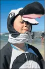 ?? Picture: GILLIAN McAINSH ?? A MODEL WADDLE: Volunteer Alex Gross, 13, waddled into character with his penguin suit at Samrec’s penguin release on Sunday. Tomorrow Samrec is hosting the Penguin Plod, part of the Cape Recife Spring Fest