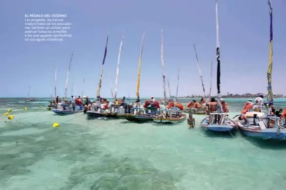  ??  ?? EL REGALO DEL OCÉANO Las jangadas, las barcas tradiciona­les de los pescadores, también se utilizan para acercar hasta los arrecifes a los que quieren zambullirs­e en sus aguas cristalina­s.