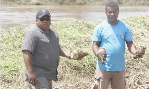  ??  ?? Minister for Agricultur­e, Rural and Maritime Developmen­t and National Disaster Management, Inia Seruiratu (left) assessing damaged crops in areas affected by heavy flood in Naitasiri yesterday.