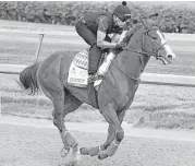  ?? Charlie Riedel / Associated Press ?? Justify is trying to become the first horse since 1882 to win the Derby after not racing as a 2-year-old.