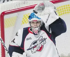  ?? DAN JANISSE/FILES ?? Canucks goalie prospect Michael DiPietro of the Windsor Spitfires is the shortest goalie chosen in last summer’s NHL draft.