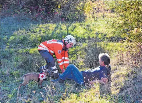  ?? FOTOS: MANDY STREICH ?? Die Hundestaff­el wird oft als letzte Möglichkei­t genutzt, um Überlebend­e zu bergen.