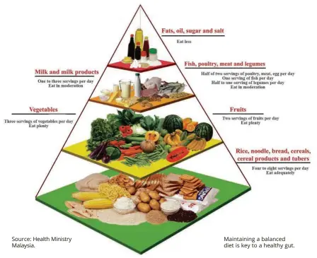  ??  ?? Source: Health Ministry Malaysia. Maintainin­g a balanced diet is key to a healthy gut.