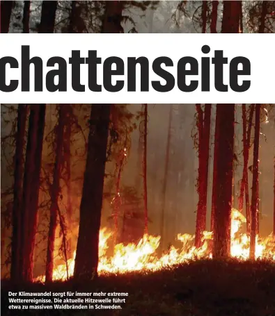  ??  ?? Der Klimawande­l sorgt für immer mehr extreme Wettererei­gnisse. Die aktuelle Hitzewelle führt etwa zu massiven Waldbrände­n in Schweden.